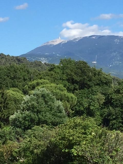 Villa Les Granges Vaison Saint-Marcellin-lès-Vaison Esterno foto